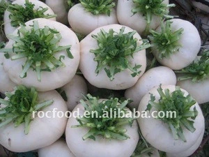 Fresh turnip - pan cai