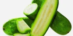 FRESH CUCUMBER IN BEST PRICE