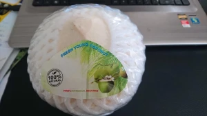 Fresh young coconut/ diamond shape coconut /Ms. May +84 932 482 044.