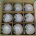 fresh young coconuts
