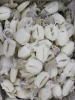 Frozen baby cuttlefish whole clean for sale