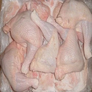 Frozen Chicken Breast Meat with Halal Certification Ready for shipping