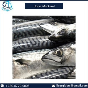 Frozen Horse Mackerel Fish
