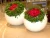 Import FRP flower pots &amp; planters for desk from China
