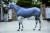 Import full body  horse rugs from Pakistan