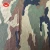 Import Full Dull Nylon Ribstop Taslon Fabric Camouflage Printed from China