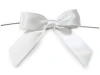 gift ribbon and bows for garment accessory or gift packing