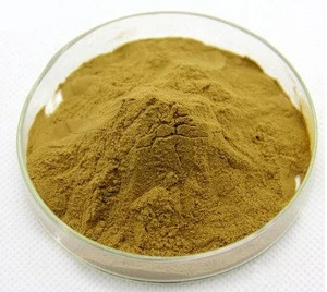 Ginger Extract 100% Natural Ginger root extract Water Soluble Gingerols