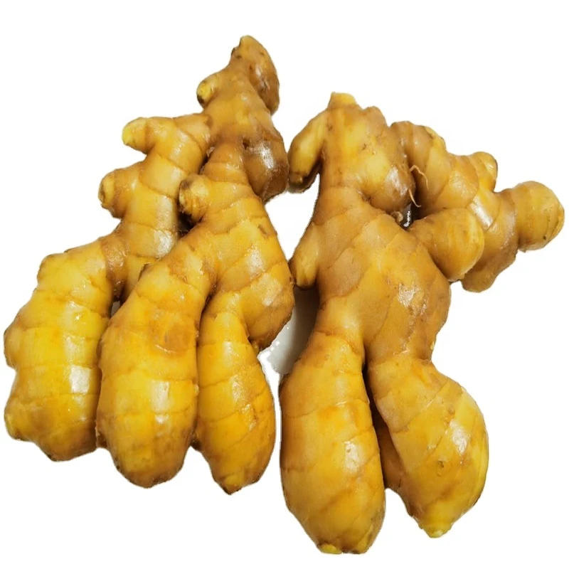 Ginger made in China is cheap at wholesale
