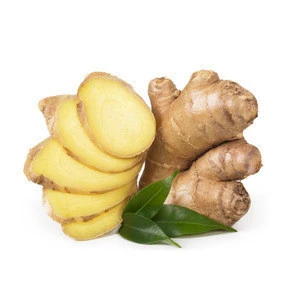 GINGER P.E./Zingiber officinale root powder/Ginger Extract Powder