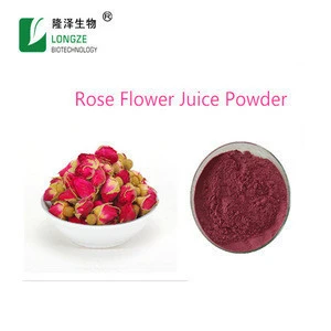 Good Quality Rose Flower Juice Powder with Best Flavour and Water Solubility for Food Supplement