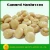 Import good taste Canned WHITE BUTTON MUSHROOMS from China