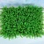 Import Green Color and Plastic Material Artificial Plants Outdoor Green Foliage Wall Decoration from China