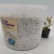 Import Grow Media perlite 2.4L High Quality Updated Expanded Perlite Bonsai Soil from China