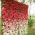 Import Guangzhou decorative beautiful giant rose artificial flower wall decor for weddings from China
