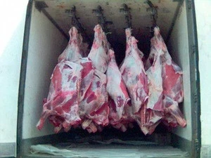 HALAL FROZEN BEEF AND PARTS FOR SALE