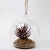 Import hanging or table decoration artificial succulent plants in glass pot from China