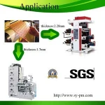 Has video new product plastic plates making machinery