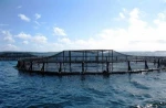 HDPE Bracket Pipe Floating Fish Farming Cage Net Aquaculture Trap