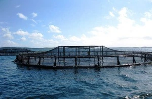 HDPE Bracket Pipe Floating Fish Farming Cage Net Aquaculture Trap
