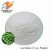 Healthcare Supplement Lactobacillus Acidophilus Lyophilized Powder