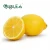 Import Healthy food top quality eureka Lemon, Adalia Lemon  lemon fruit fresh from China