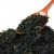 Import Healthy Japanese food dry wakame seaweed dried cut wakame from China