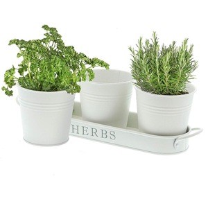 Herb Pot Planter with Tray for Indoor and Outdoor flower pot garden