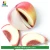 Import High Quality custom Fruit shape Note pads memo Pad from China