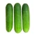 Import High Quality Fresh Cucumber from Bangladesh