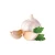 Import High Quality Fresh Garlic From China With Lower Price from China