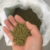 high quality Green Mung Beans/Vigna Beans