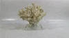 Home ornament resin white coral craft  with glass crystal base
