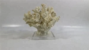 Home ornament resin white coral craft  with glass crystal base
