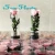 Import Hot new crazy selling eternal flowers preserved rose in acrylic gift box from China