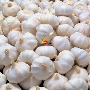 Hot Selling 2020 China Fresh Normal White Garlic In Bulk