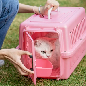 Hot Selling Economical And Practical Portable Cat Pet Travel Carrier