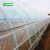 Import Hualiang 200 micron Film UV Treated Plastic Film Tunnel Greenhouse from China