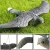Import Hunting Birds Decoys Flying Hawk Bird Scare Motionless Garden Plastic Snow Decoy Pest Control Care Deter Scarer Wholesale from China