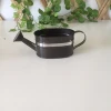Indoor decoration small metal watering can for kids