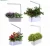 Import Indoor Hydroponic Systems China Suppliers Attractive Pots Garden Flower Pot from China