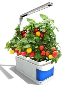 Indoor smart garden pot, Self watering herb smart planter,LED growing system and Remote system all control by mobile APP
