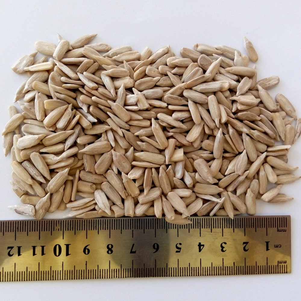 Inner Mongolia organic Confectionary sunflower seeds kernel