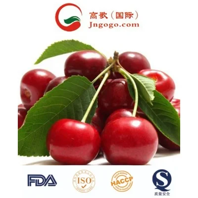 IQF Frozen Cherry Halves High Quality Export Quality