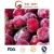 Import IQF Frozen Cherry in Gogo Packaging from China