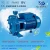 Import Irrigation Pump centrifugal water pump with double brass impellers from China