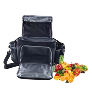 ISO BSCI audit factory eco friendly cooler bag insulated thermal ice food delivery bag lunch bag custom