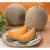 Import Japanese Fresh Sweet Types Cantaloupe By Veteran Producers from Japan