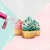 Import Kitchen Baking Tool Accessories Cake decorating tools Manual cake spray gun pump Plastic cake coloring duster from China