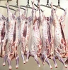Lamb & Mutton meat